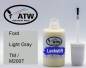 Preview: Ford, Light Gray, TM / M2007: 20ml Lackstift, von ATW Autoteile West.